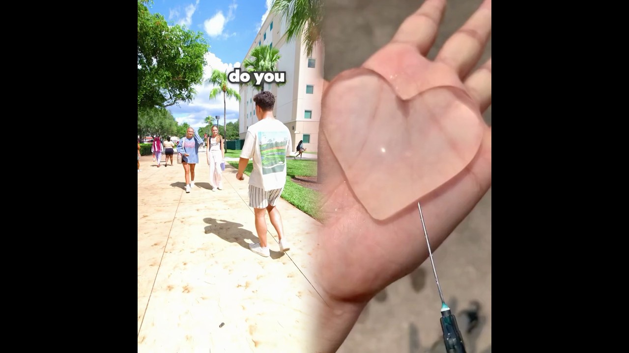 This is so funny, l couldn't stop laughing 