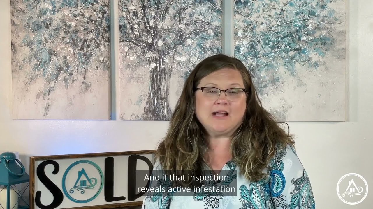 What Is WDI?- Find Out Here!