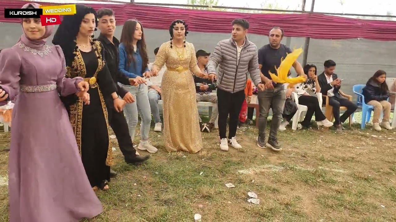 Hekim & Sibel çiftinin düğünü part 4 #wedding #düğün #düğünçekimi #kurdish #kurdishmusic