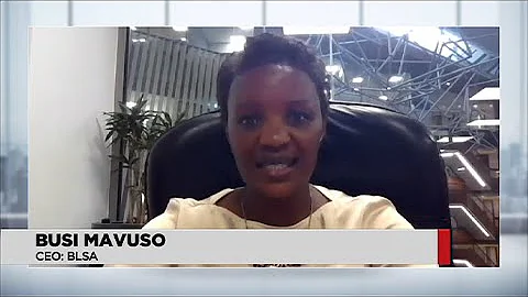 WATCH: Private sector reflects on 30 years of democracy in SA