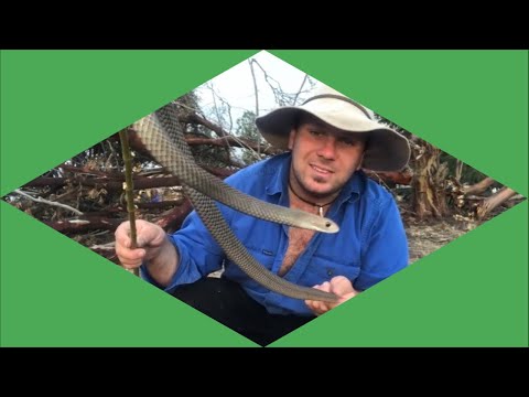 wickedsick Live Stream: What should I film today?