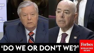 Lindsey Graham Asks Mayorkas Point Blank If We Have Operational Control Of Border