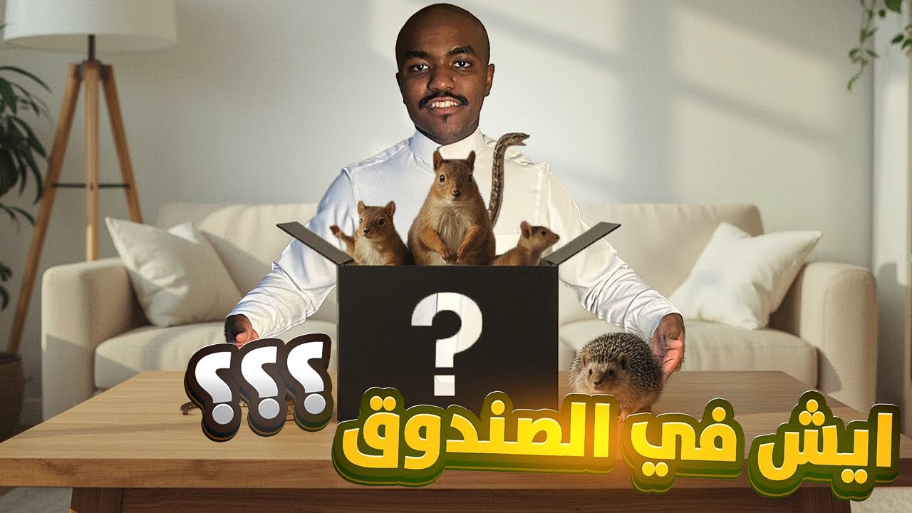 تحدي الصندوق.❤️