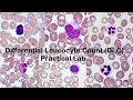 Differential Leukocyte Count Quiz