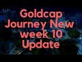 Journey to gold cap  week 10 earnings