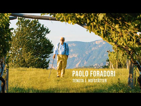 Pionieri dei Vini Alto Adige - Paolo Foradori / Tenuta J. Hofstätter