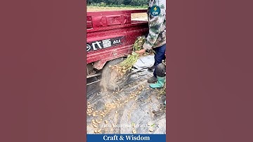 SMART TOOL 💡 made from what they had in hand!#innovation  #farmtech #peanut #villagecraft