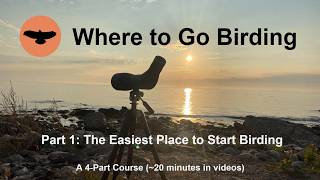 Where to Go Birding: Easiest Place to Start Birding