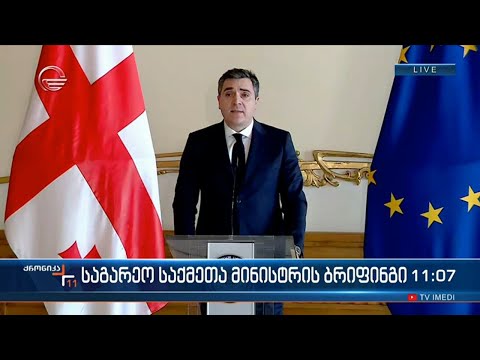 საგარეო საქმეთა მინისტრის ბრიფინგი