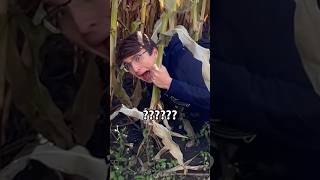 We Got Trapped In The World’s Biggest Corn Maze…