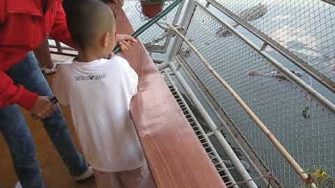 Sumi câu cá sấu cùng mẹ ở Suối Tiên