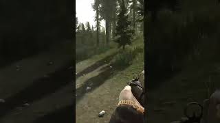 Woods ist eine Wohltat für die Seele #escapefromtarkovclips #escapefromtarkov #eftpvp #eft