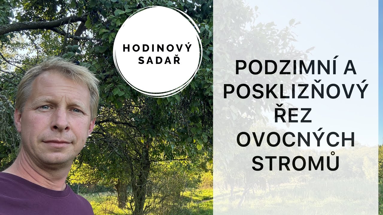 🌳 Pro a proti 🌳 Podzimní a posklizňový řez ovocných stromů 🌳