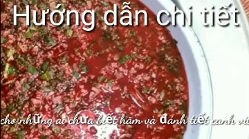 Hướng dẫn chi tiết tỉ mỉ cách hãm và đánh tiết canh ngan(vịt)bằng mắm đông như thạch - Toàn hói vlog