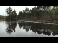 Beaver Dam Collapse