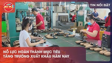 NỖ LỰC HOÀN THÀNH MỤC TIÊU TĂNG TRƯỞNG XUẤT KHẨU NĂM NAY