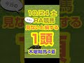 【今日の競馬予想】10月24日、土曜日のJRA競馬の最強本命予想  #競馬 #中央競馬予想 #競馬予想 #jra #アルテミスステークス