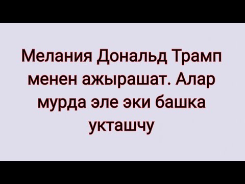 Video: Донал менен Дарраг Макинтайрдын байланышы барбы?