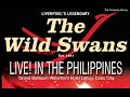 The wild swans live in cebu philippines full show