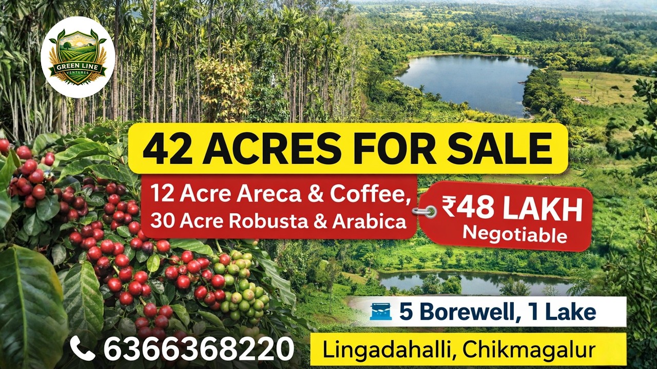 42 ACRES FOR SALE