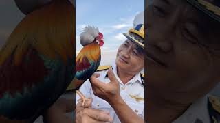 GIẢI TRÍ #aimusic #nhachaymoingay #lovemusic #nhachay #nhactinhyeu #tamtrang