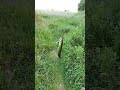 люблю рыбалку