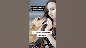 Почему собаки лижут руки #shorts