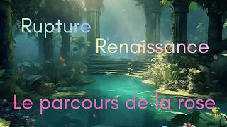 Rupture renaissance, le parcours de la rose