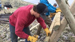 Dillon BLM, community volunteers clean up trail