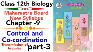 Part-3 ch-9 control and coordination biology class 12 maharashtra
board new syllabus | synapsis