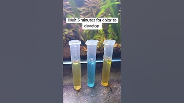 How to use the api master test kit!!! #fishtank #fishtanks #bettafish #http #betta #fish