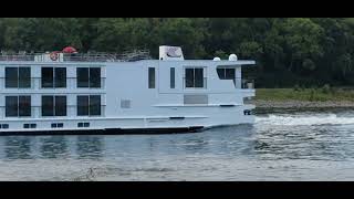 Rhine 394