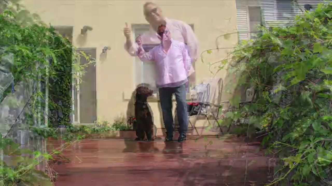 Seal-Tech restoring John Gallagher's Deck