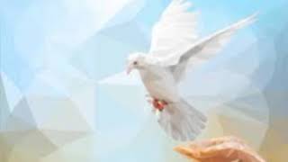 Make Me Holy for You