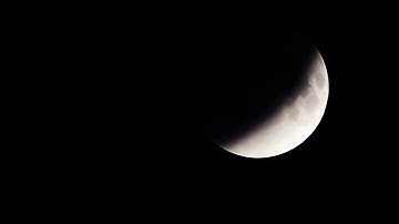 سورة الإخلاص (مكررة ٣ مرات).. بصوت الشيخ محمد عبدالكريم