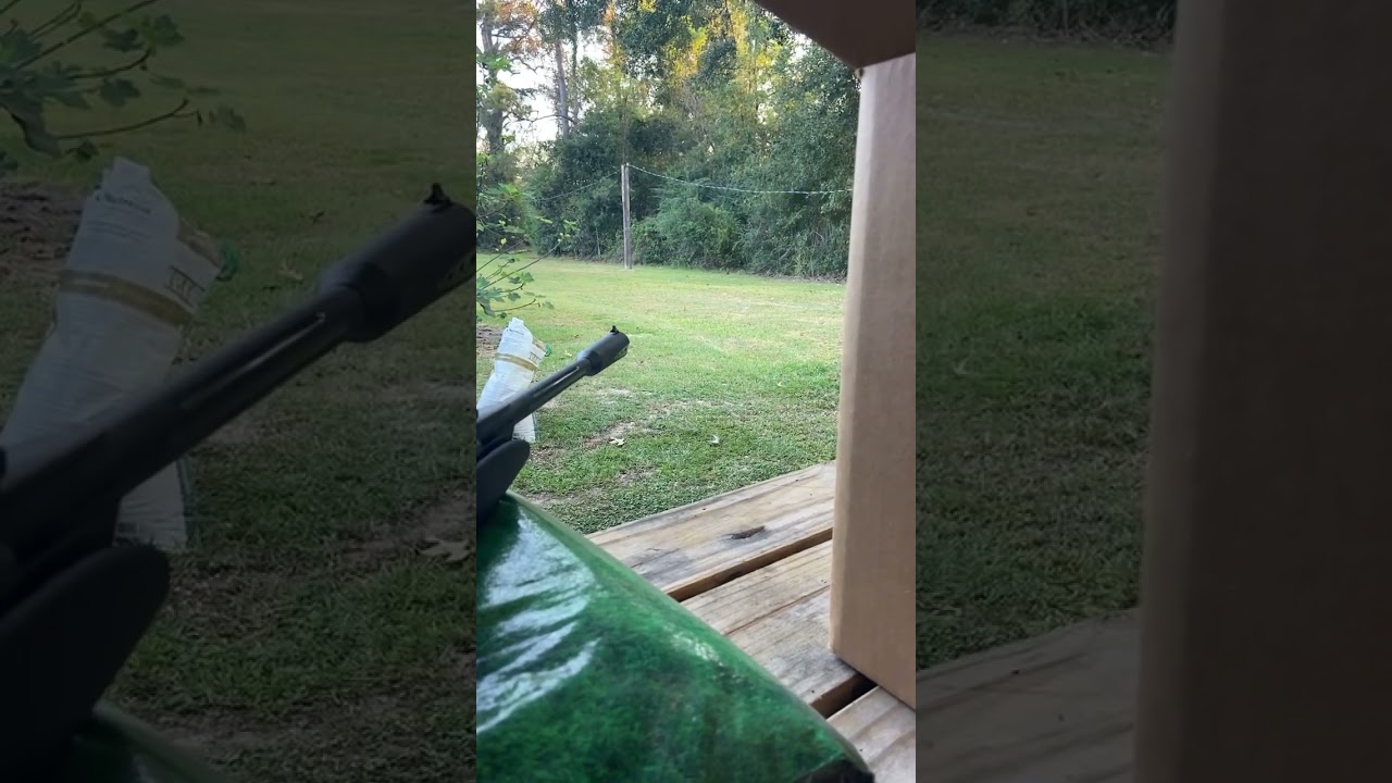 Squirrel Hunting With Pellet Gun?!?!? 