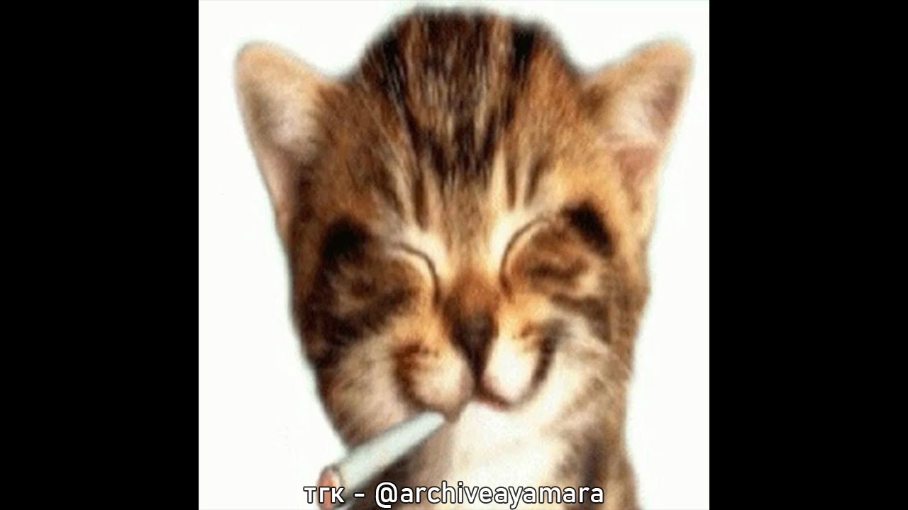 +FREE+ ТЕМНЫЙ ПРИНЦ x МРАЧНЫЕ ТРЕДЫ TYPE BEAT — UNNAMED [PROD. AYAMARANAIDE]