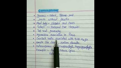 #plantkingdom #biology #gymnosperms #BayoTalk