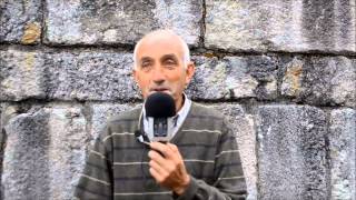 Vicente Pernas e o Gran Teixo de Lousada
