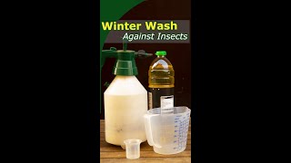Winter wash - 3 types