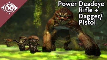 GW2 Slothasor | Power Deadeye Rifle + Dagger/Pistol