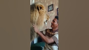 tutorial Leopard Leap filter 😈 😯 #leopard #Leap #filter #funny #trending