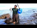 survival in the rainforest - find big fish at the sea - eating delicious