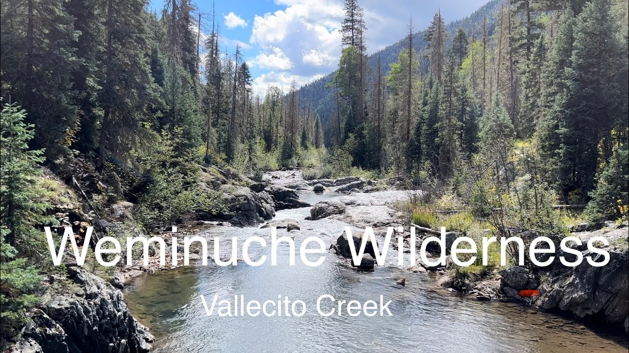 Weminuche Wilderness-Vallecito Creek