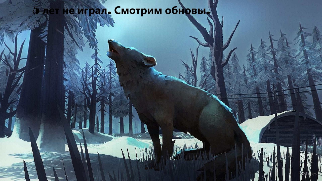 The Long Dark.  НГ . Жизнь после 2000 дней.