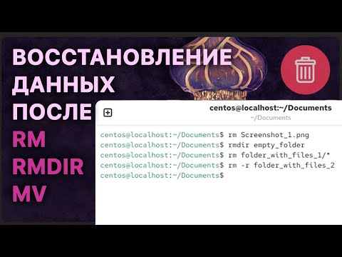 🐧 Как восстановить данные в Linux, которые удалены через Терминал (rm, rmdir)