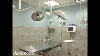 Pulaski Animal Hospital Chicago IL 60632-4238