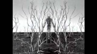 Born Again-Boiling Point
