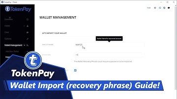 TokenPay l Wallet Import (recovery phrase) Guide!