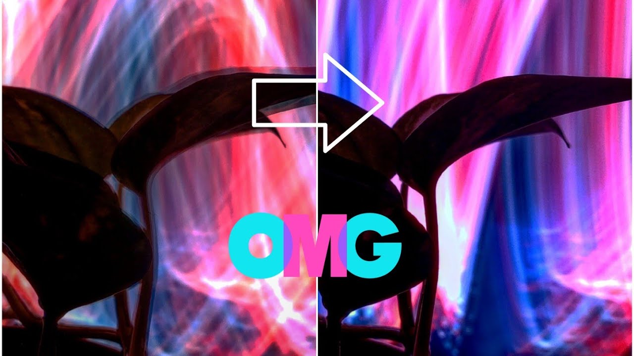 Exposure photography of plants ft. patte